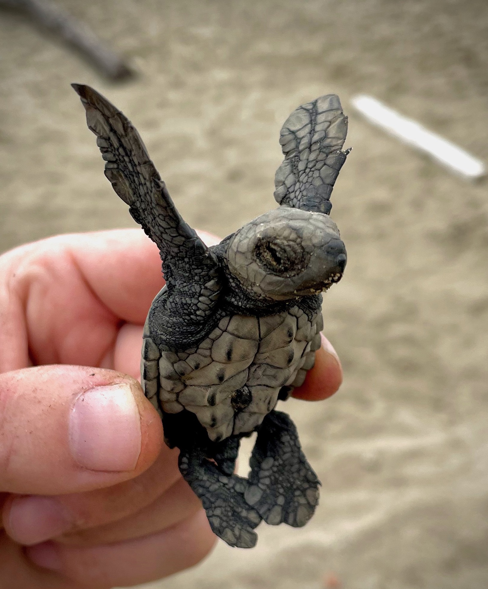 sustainable responsible travel tourism canoa ecuador