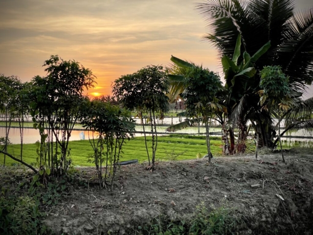 Nearby rice farms in a large fertile valley